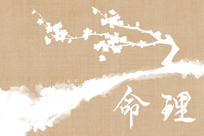 八字星辰算命 精准批八字 排盘系统