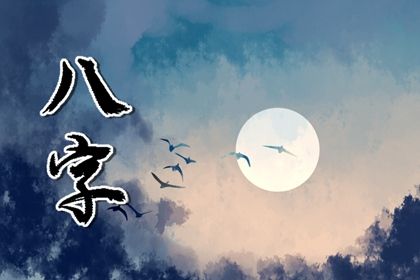 排盘报告阅读顺序