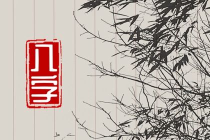 排盘报告阅读顺序
