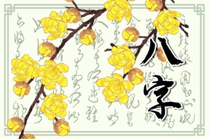 排盘报告阅读顺序