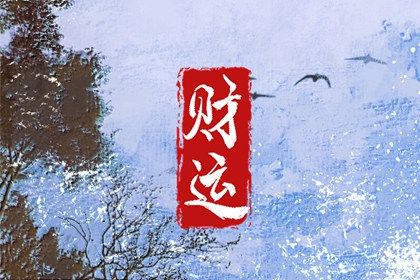 流年运势:动态视角