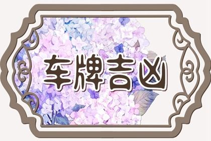 数字化号码参考用法