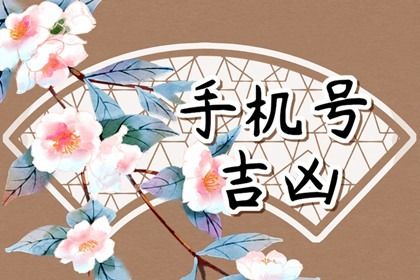 数字化号码参考用法