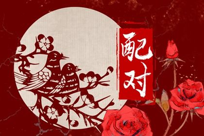名字契合度配对_夫妻生肖配对_配对合婚测财运_测二人名字配对