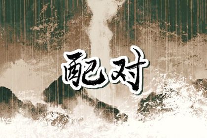 十二生肖婚配概说