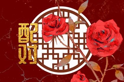现代婚恋中的合婚角色
