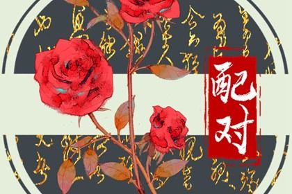 阴干日主的婚恋画像