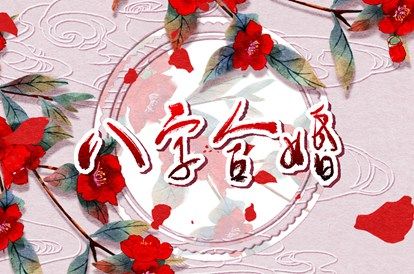 纳音配对：比和、相生与平衡