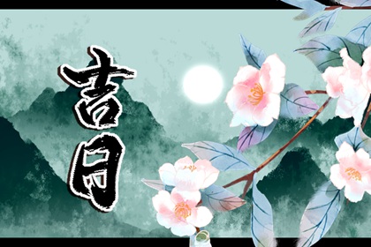 今日九星怎么读