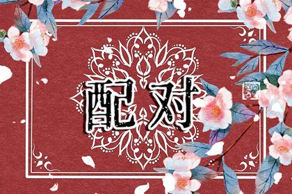 感情与婚姻的关系