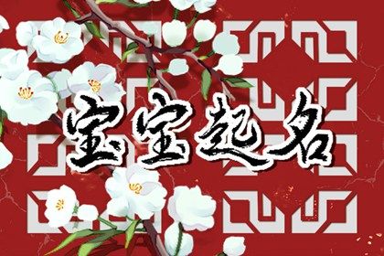 缺什么就补什么吗