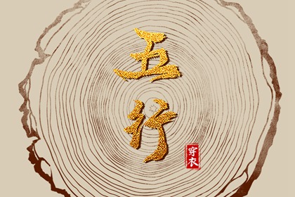数字化五行参考用法