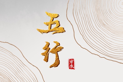 数字化五行参考用法