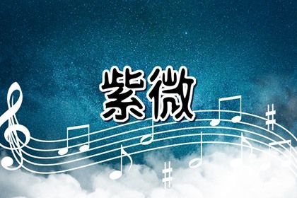 数字化紫微参考用法